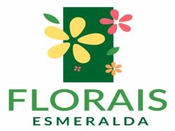 Venda em Florais Esmeralda - Cuiabá